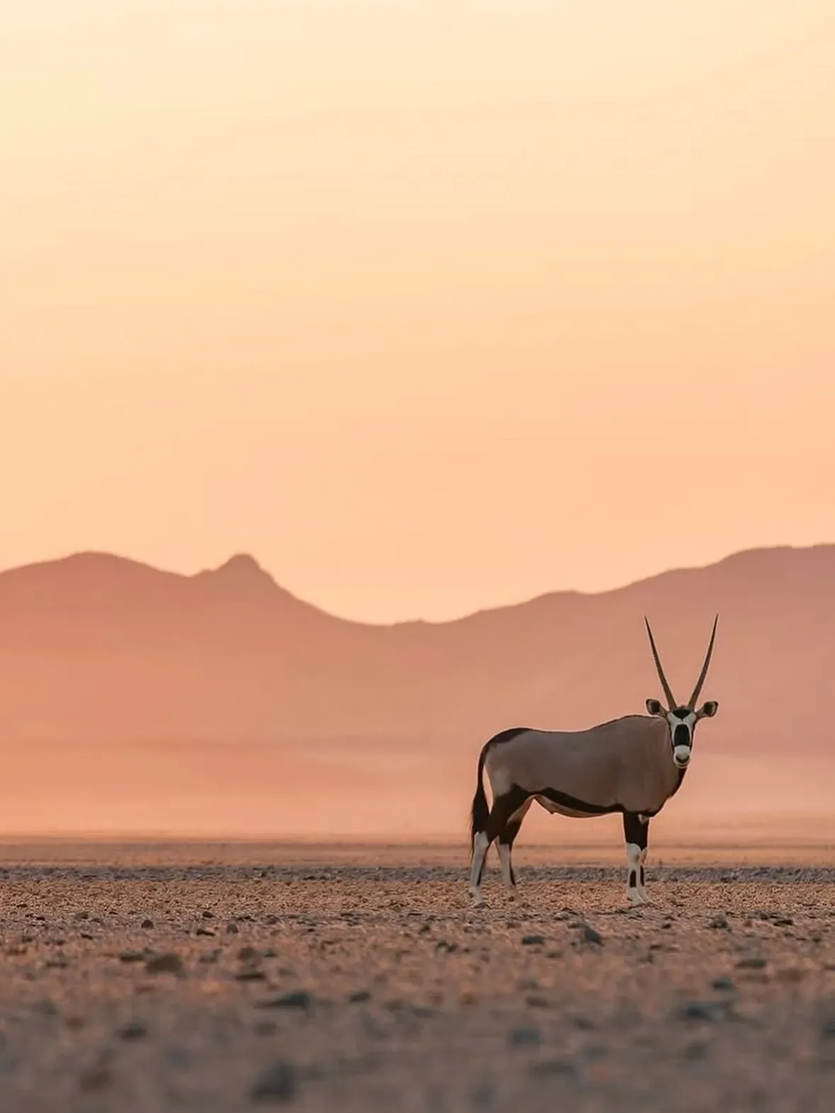 Buying SIM card in Namibia worth it?